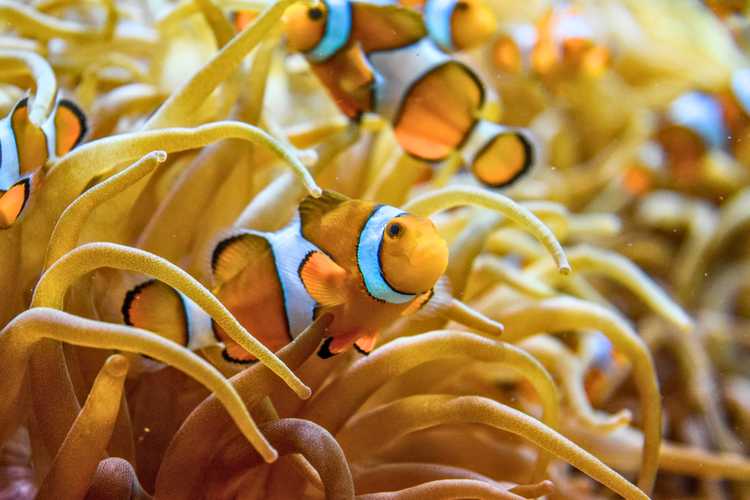 Explorează atracțiile de top din Monaco – Fără cozi, obiective emblematice și cele mai bune experiențe în 2026